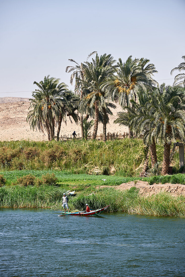 Zwei Fischer mit ihrem Boot im Nil, Nilufer mit Palmen, Ägypten