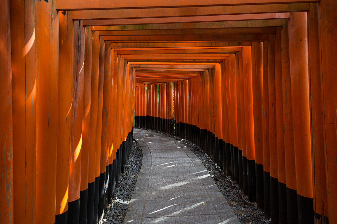 Fushimi Inari in Kyoto, Japan