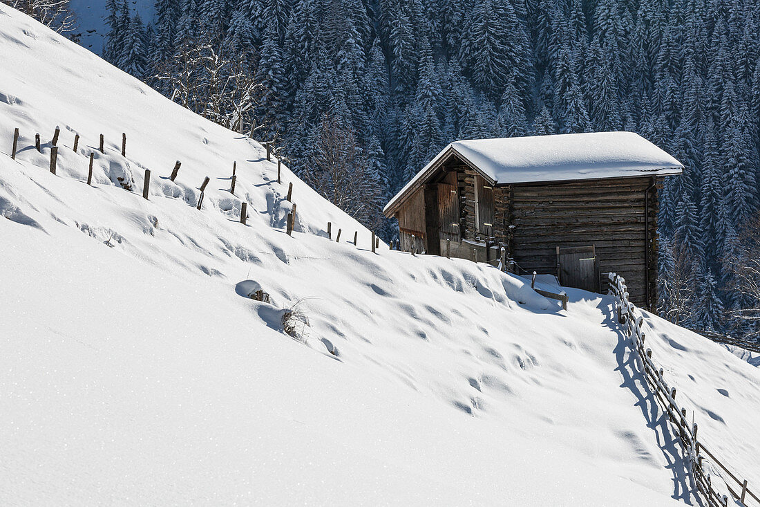 A snow-covered landscape in Alpbach, Tyrol