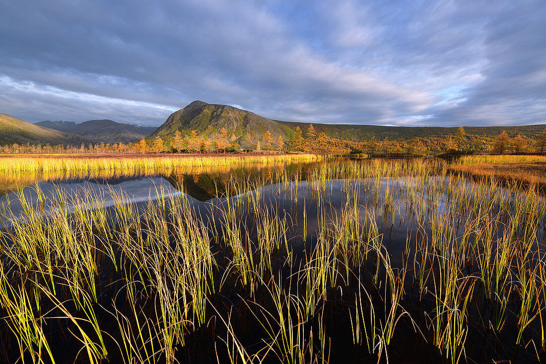 Sunny morning on lake Jack London, Magadan region, Russia