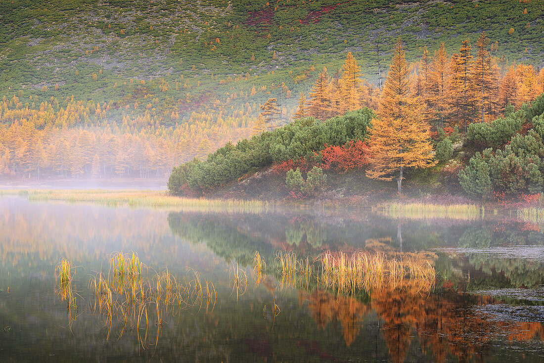 Foggy morning at the lake, Magadan region, Russia