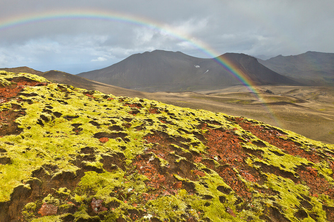 Regenbogen über Lavafeldern, Nationalpark Snaefellsjoekull, Snaefellsnes-Halbinsel, Island