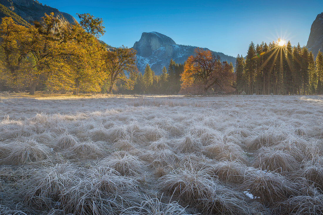 Frostbedeckte Wiese, Half Dome, Yosemite Nationalpark, Kalifornien