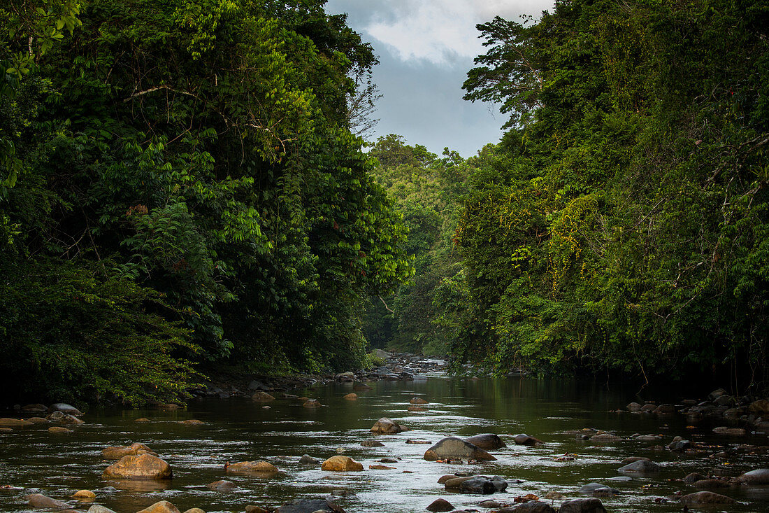 Fluss, der teilweise laubwechselnden tropischen feuchten Regenwald, Cocobolo-Naturreservat, Mamoni-Tal, Panama