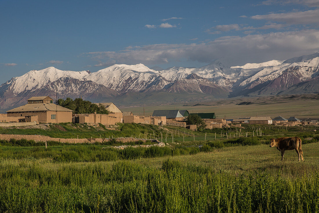 Sary Mogul im Transalaigebirge, Kirgistan, Asien