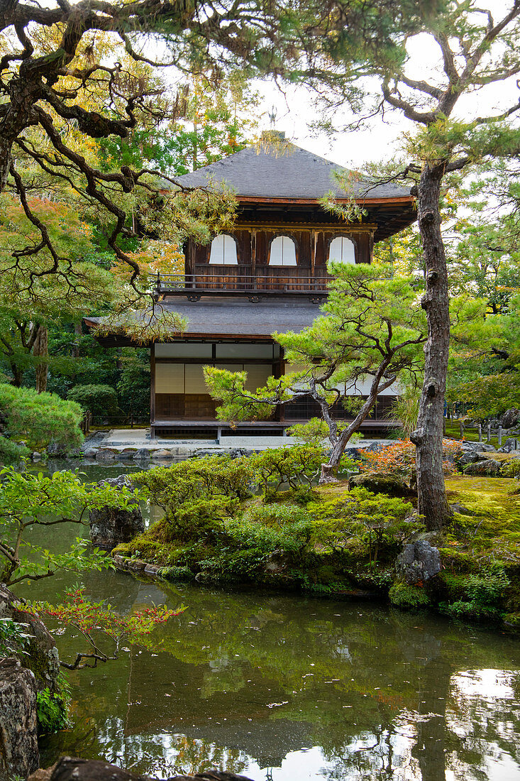 Der Silberne Pavillon spiegelt sich in einem von Pinien umgebenen Teich im Ginkaku-ji Pure Land Garden, Kyoto, Japan, Asien wider