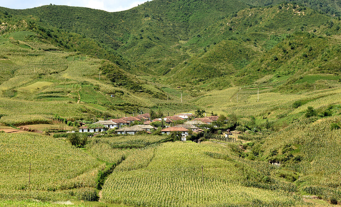 Dorf inmitten von Maisfeldern bei Chongjin, Provinz Hamgyong, Nordkorea, Asien