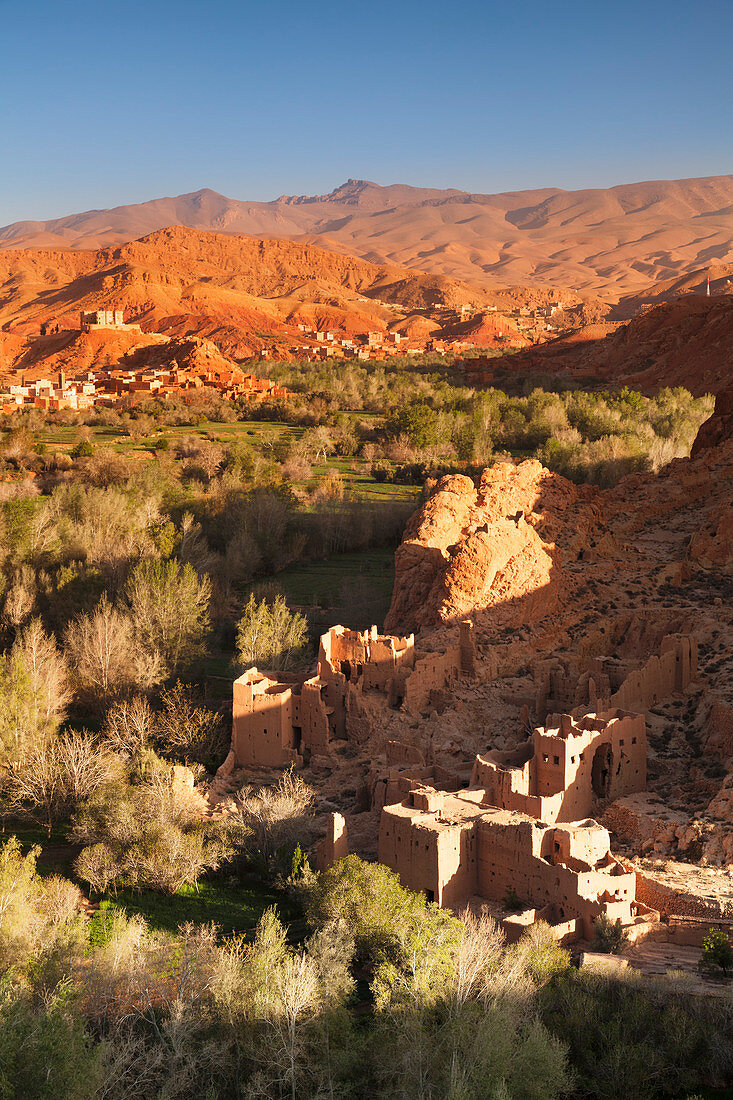 Kasbah-Ruine, Dades Valley, Atlasgebirge, Südmarokko, Marokko, Nordafrika, Afrika