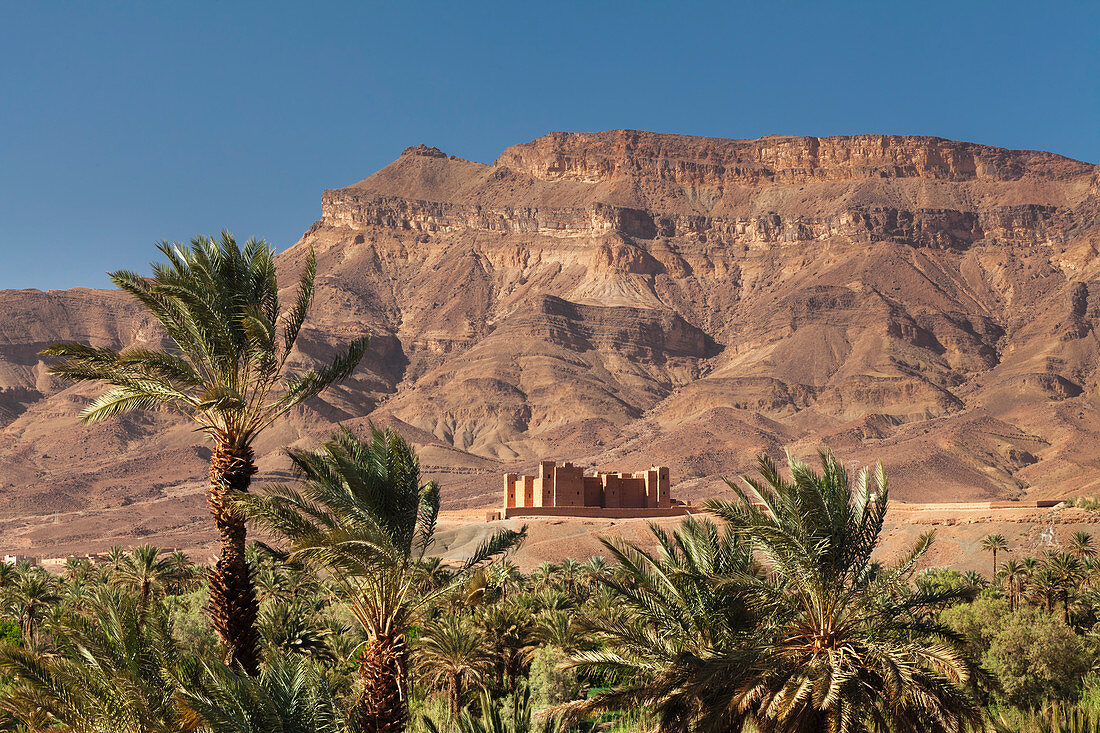 Tamnougalt Kasbah, Draa-Tal, Jebel Kissane hinten, Zagora-Provinz, Marokko, Nordafrika, Afrika