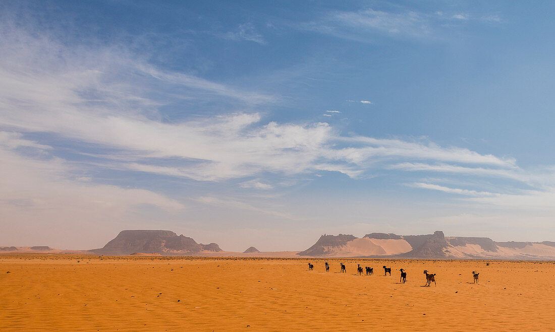 Wüstenlandschaft im Nord-Tschad, Afrika