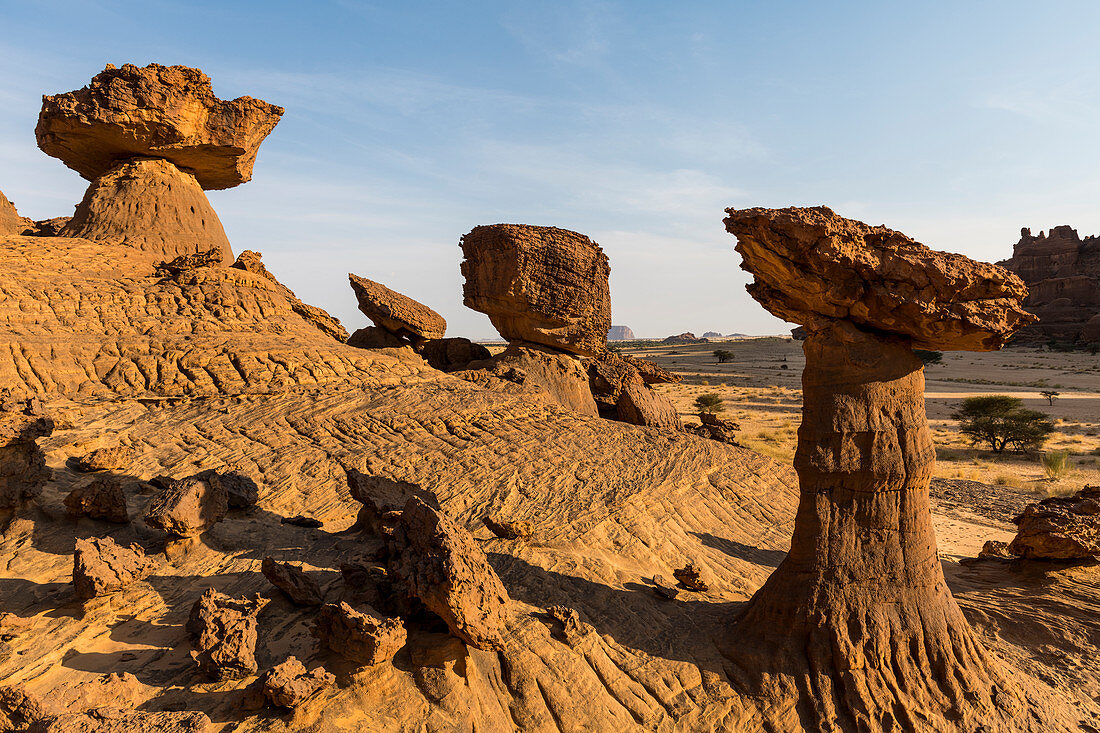 Die Pilzfelsformationen, Ennedi-Hochebene, UNESCO-Welterbestätte, Ennedi-Region, Tschad, Afrika