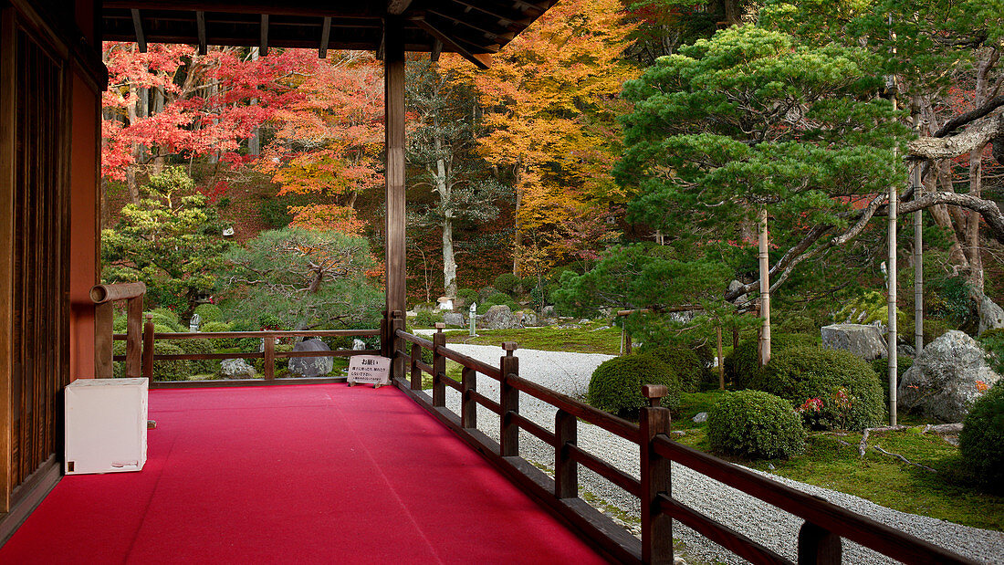 Manshu-in Temple Zen garden in autumn, Kyoto, Japan, Asia