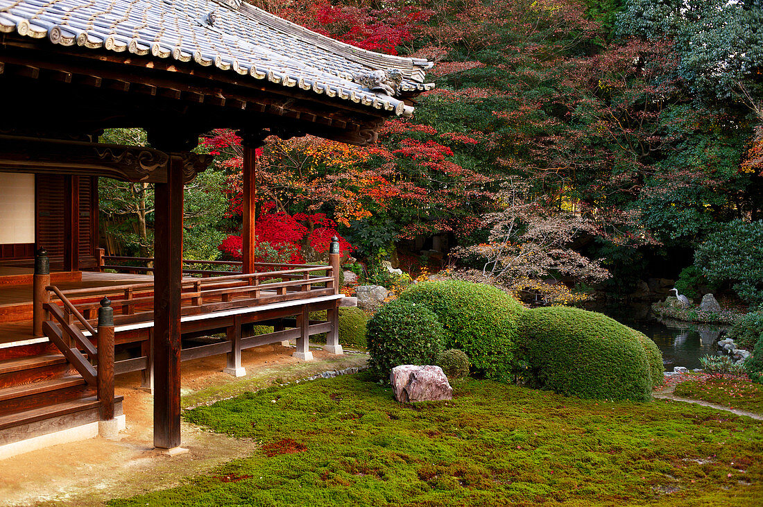 Zuishin-in temple moss garden in autumn, Kyoto, Japan, Asia