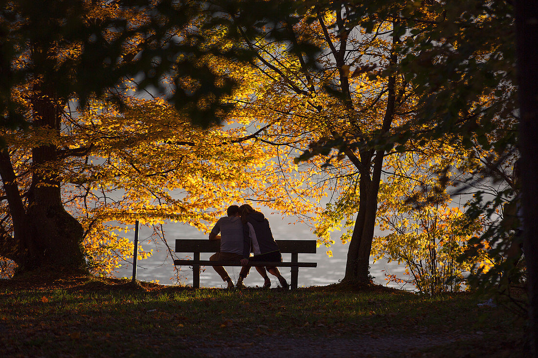 Couple siting on bench on lakeshore under trees in autumn, Gmunden, Upper Austria, Austria