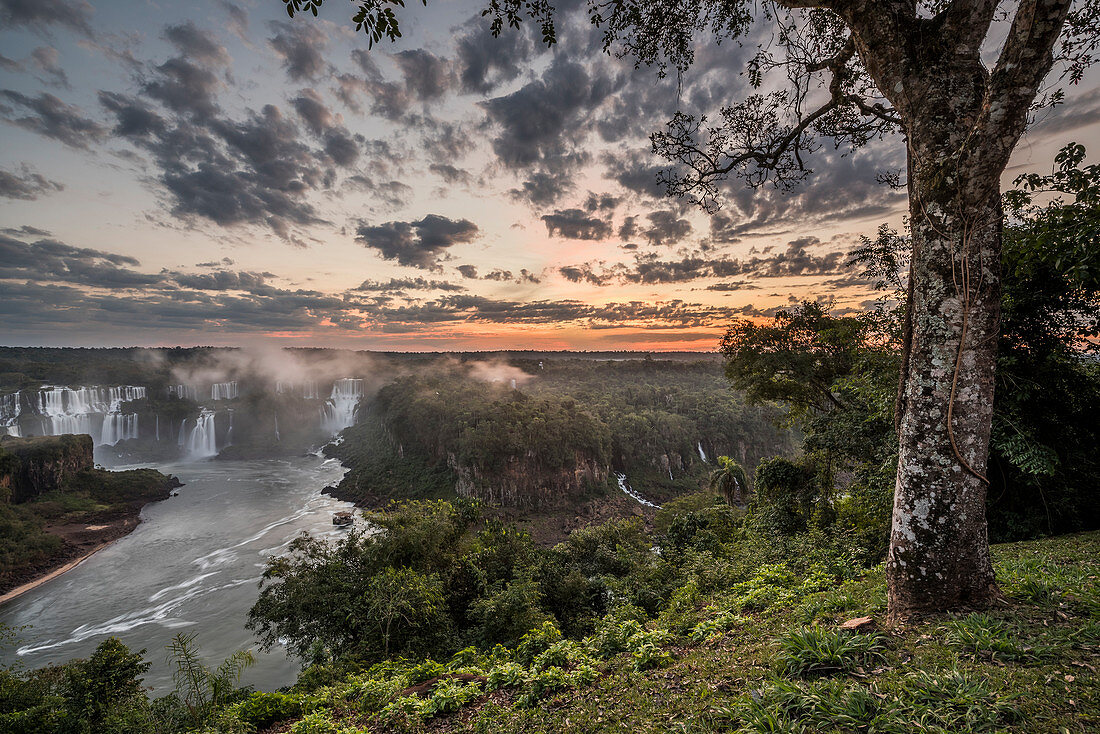 Iguazu-Wasserfälle und die Landschaft, Parana, Brasilien