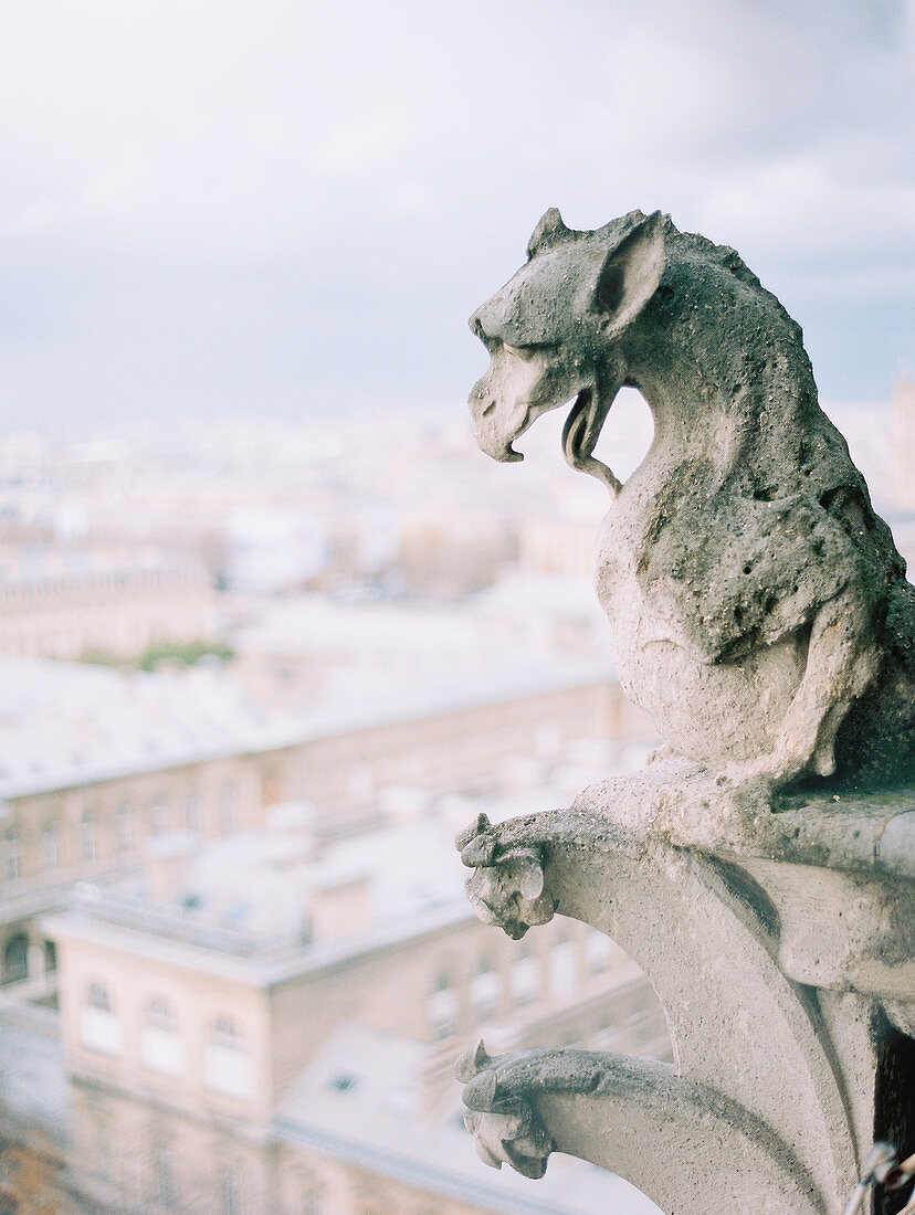 Close up detail of gargoyle statue, Notre Dame de Paris, Paris, France
