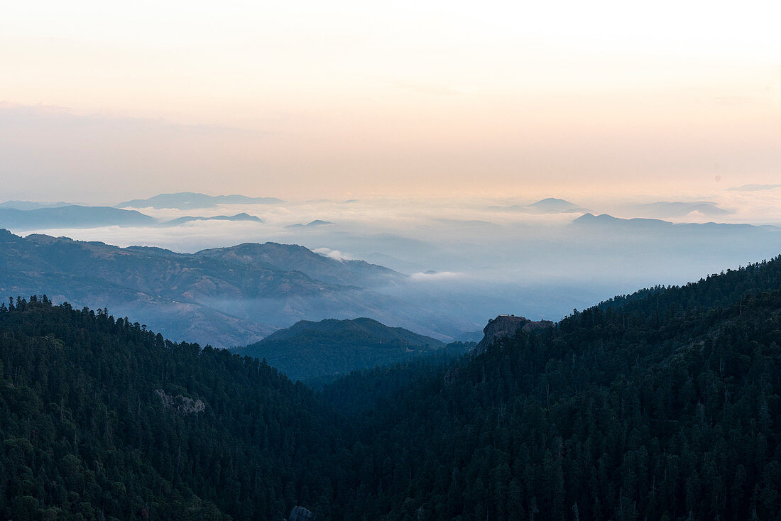 Landschaft mit Bergen und Wald bei Sonnenaufgang in Nationalpark El Chico, Hidalgo, Mexiko