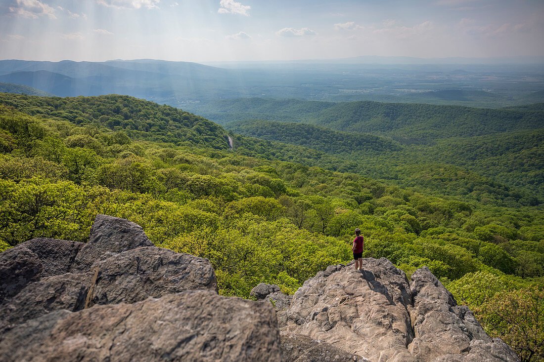 Male hiker standing at edge of Humpback Rock with sunlight illuminating green forest in background, Virginia, USA