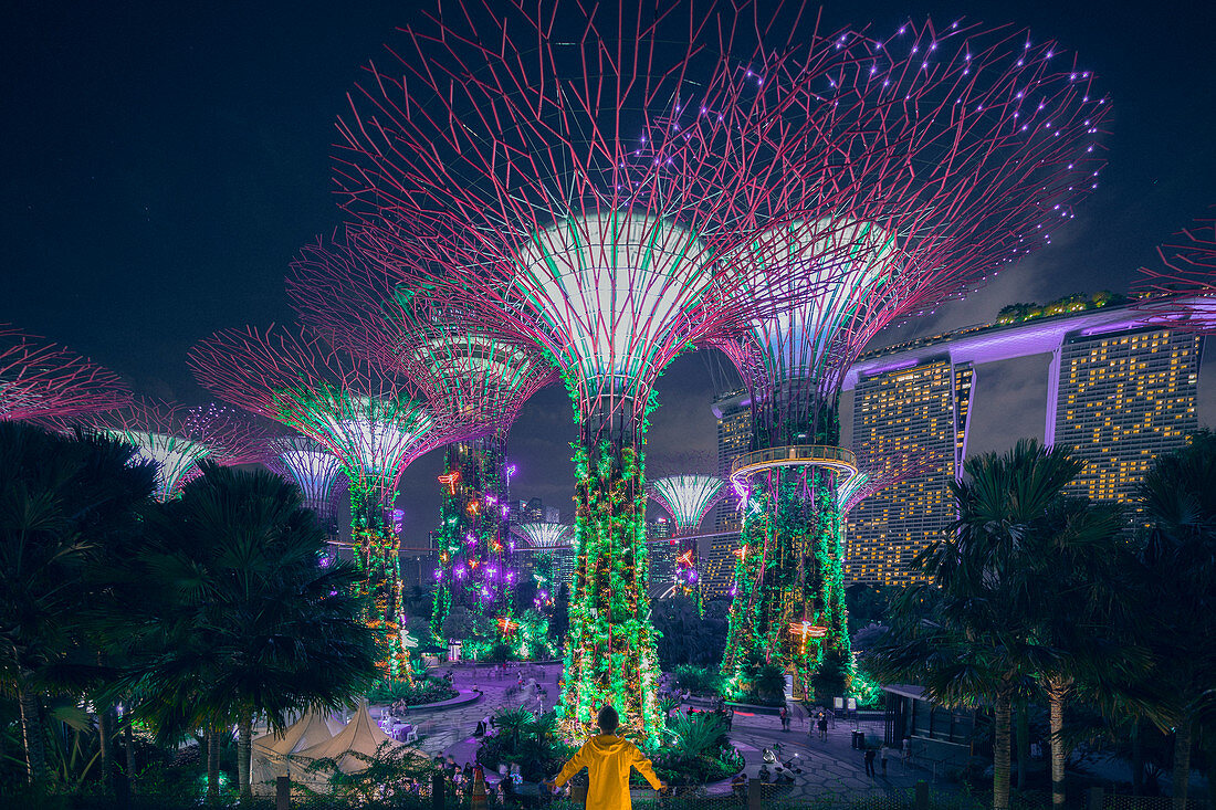 Beleuchtete Supertrees nachts in 'Gardens by the Bay', Singapur