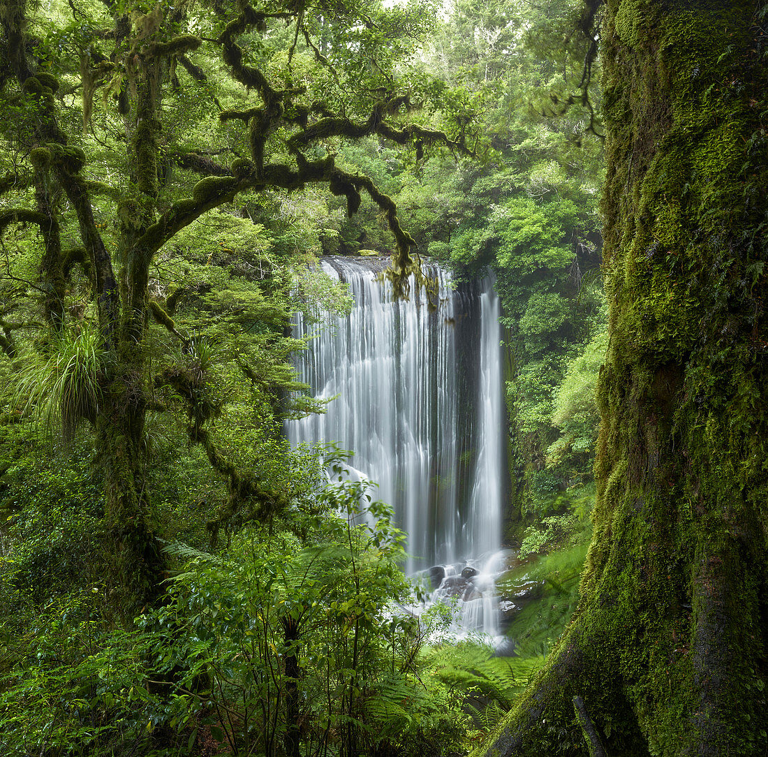 Korokoro Falls, Te Urewera Nationalpark, Hawke's Bay, Nordinsel, Neuseeland, Ozeanien