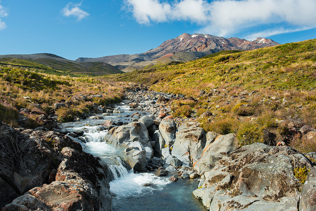 Wairere Stream, Mount Ruapehu, Tongariro National Park, Manawatu Manganui, North Island, New Zealand