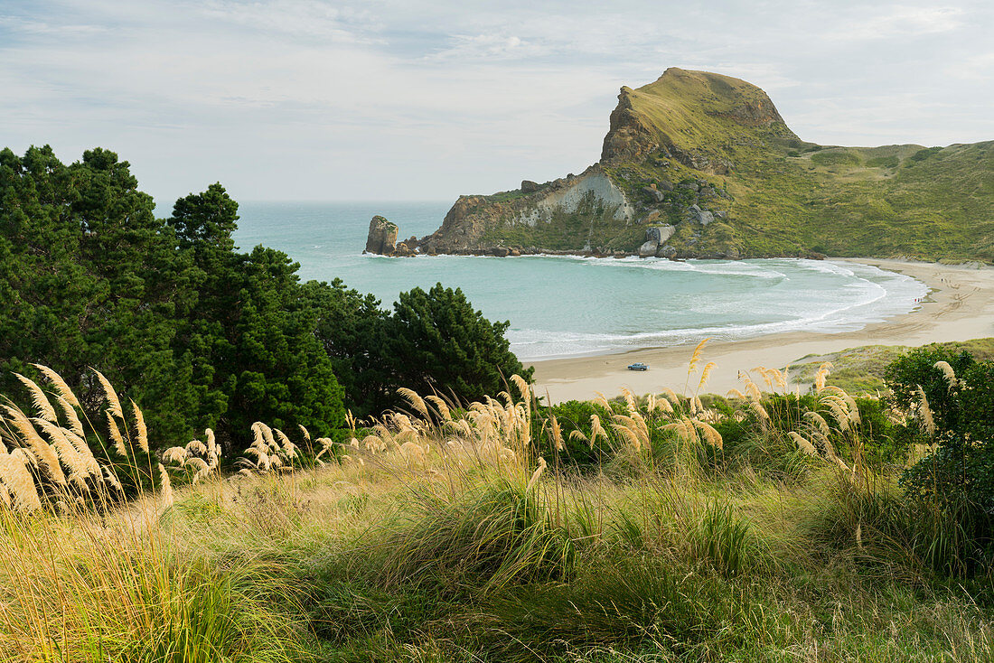 Shorelines at Castle Point, Wellington, North Island, New Zealand, Oceania