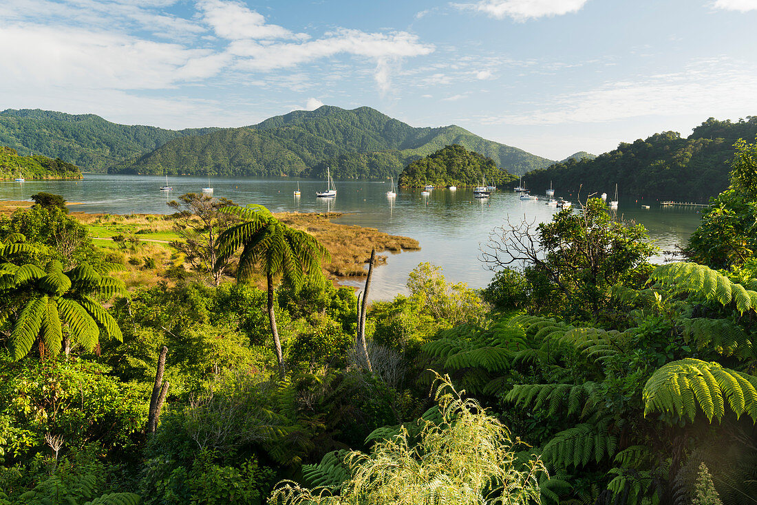 Ngakuta Bay, Marlborough, Südinsel, Neuseeland, Ozeanien