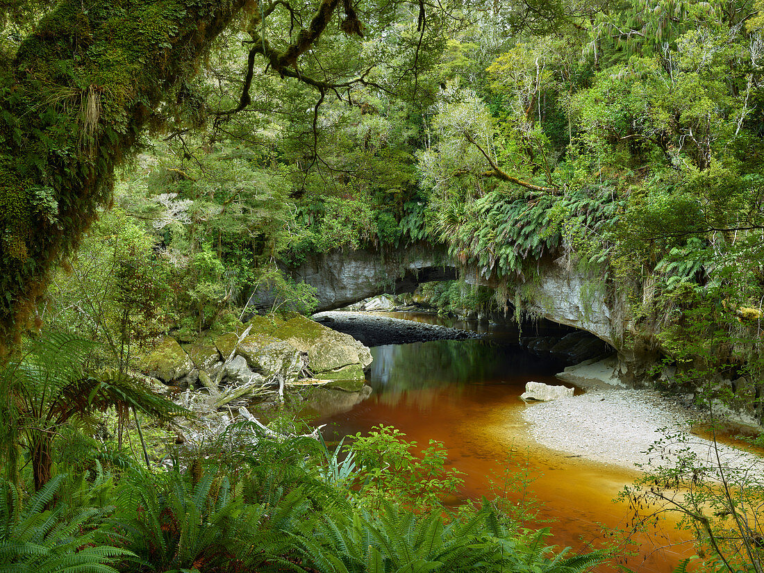 Moria Gate Arch, Oparara Basin, Kahurangi National Park, West Coast, South Island, New Zealand, Oceania