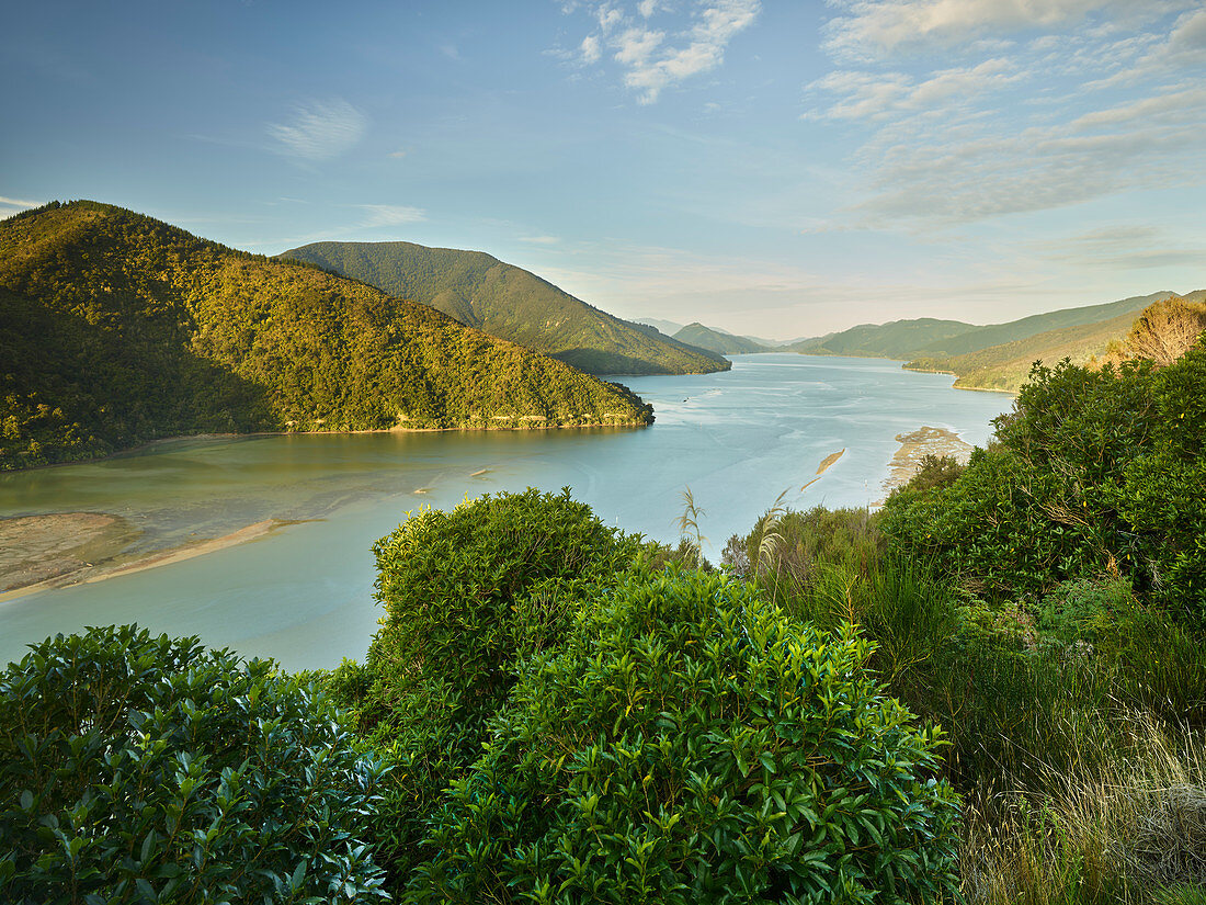 Pelorus Sound, Tasman, Südinsel, Neuseeland, Ozeanien