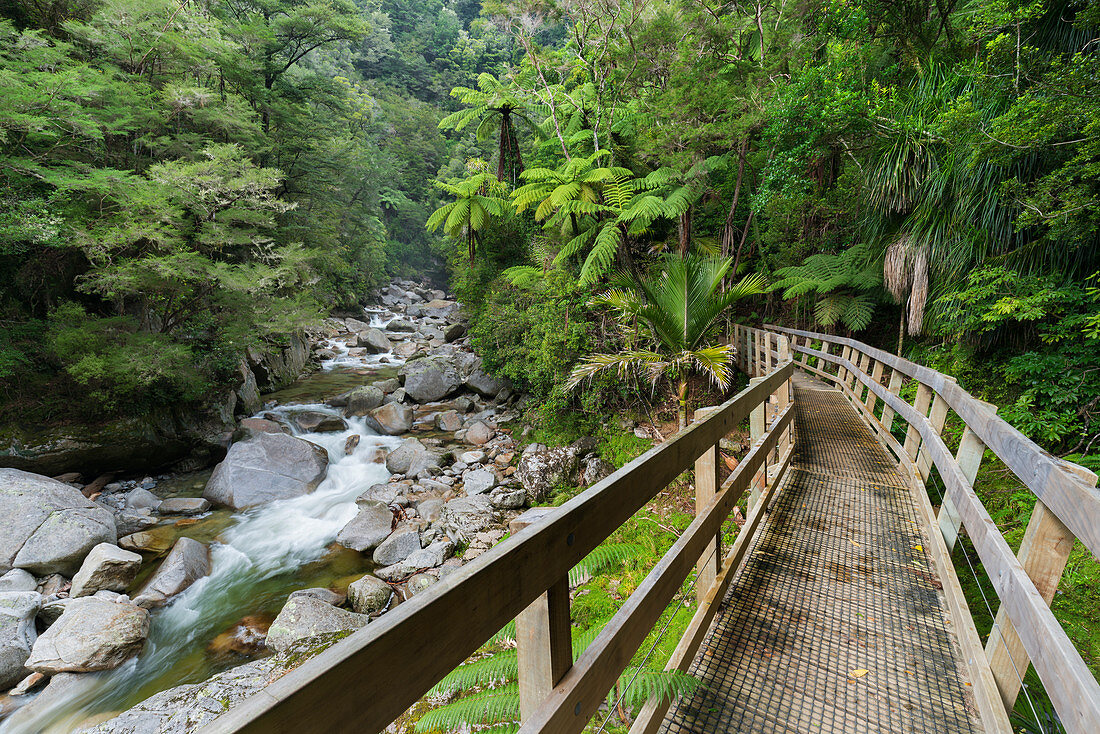 Wainui Falls, Tasman, Südinsel, Neuseeland, Ozeanien