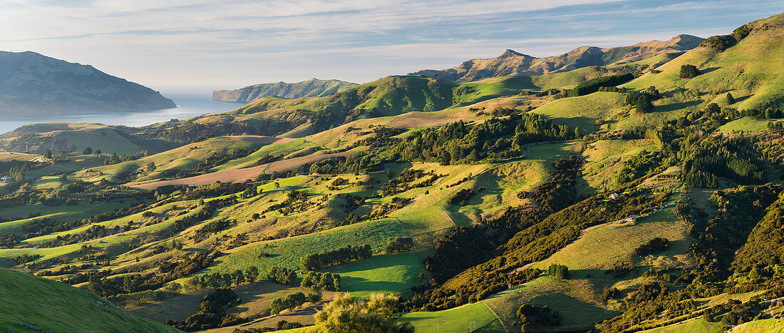 Banks Peninsula, Canterbury, South Island, New Zealand, Oceania