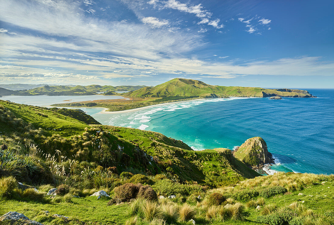 Allans Beach vom Sandymount Recreation Reserve, Otago, Südinsel, Neuseeland, Ozeanien