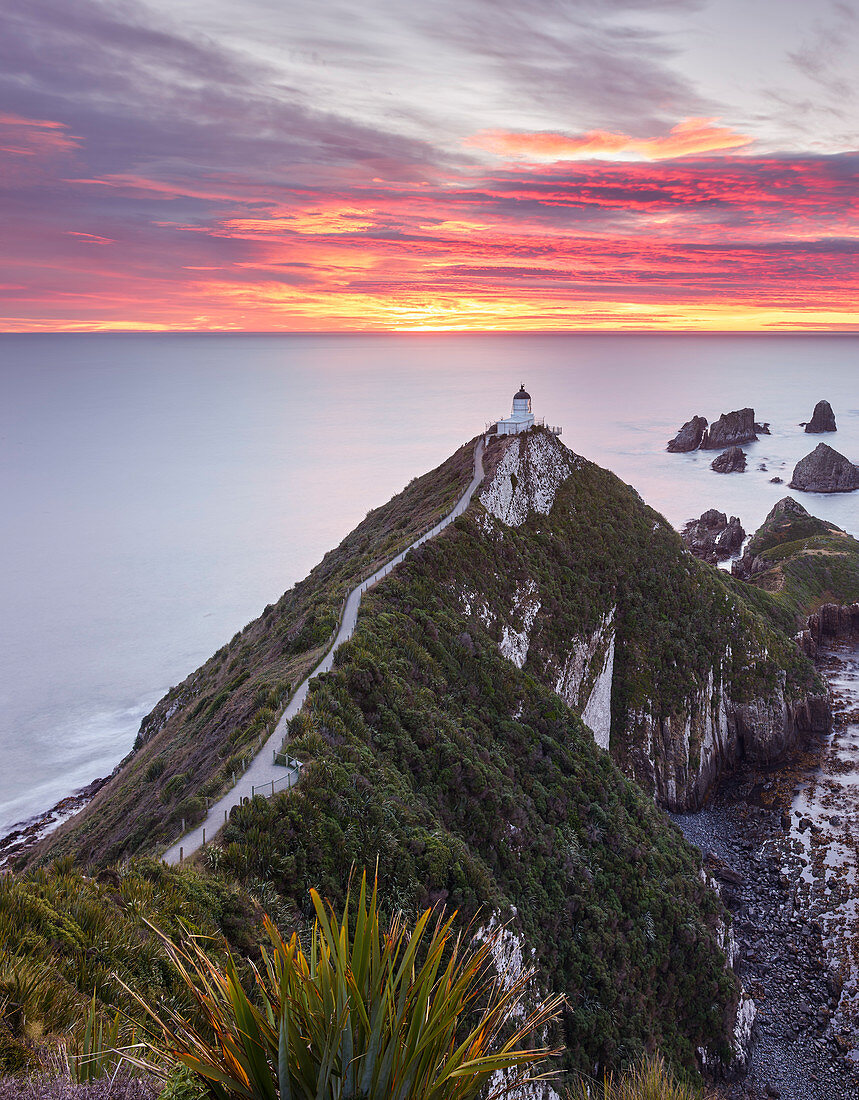 Nugget Point Leuchtturm, Otago, Südinsel, Neuseeland, Ozeanien