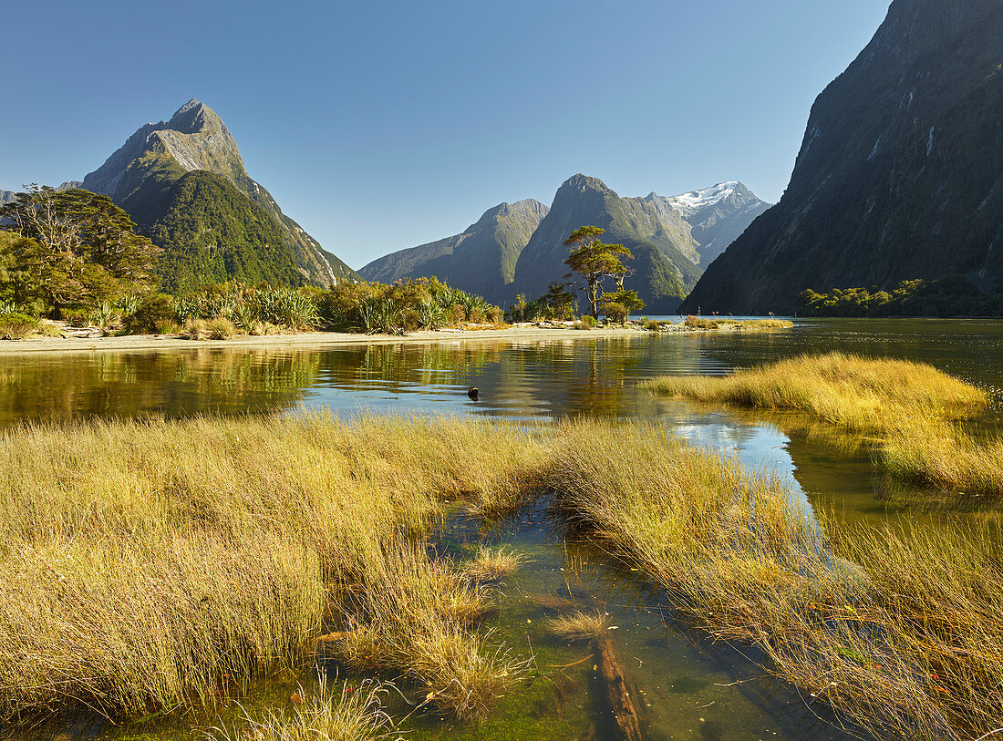 Milford Sound, Mitre Peak, Fiordland Nationalpark, Southland, Südinsel, Neuseeland, Ozeanien