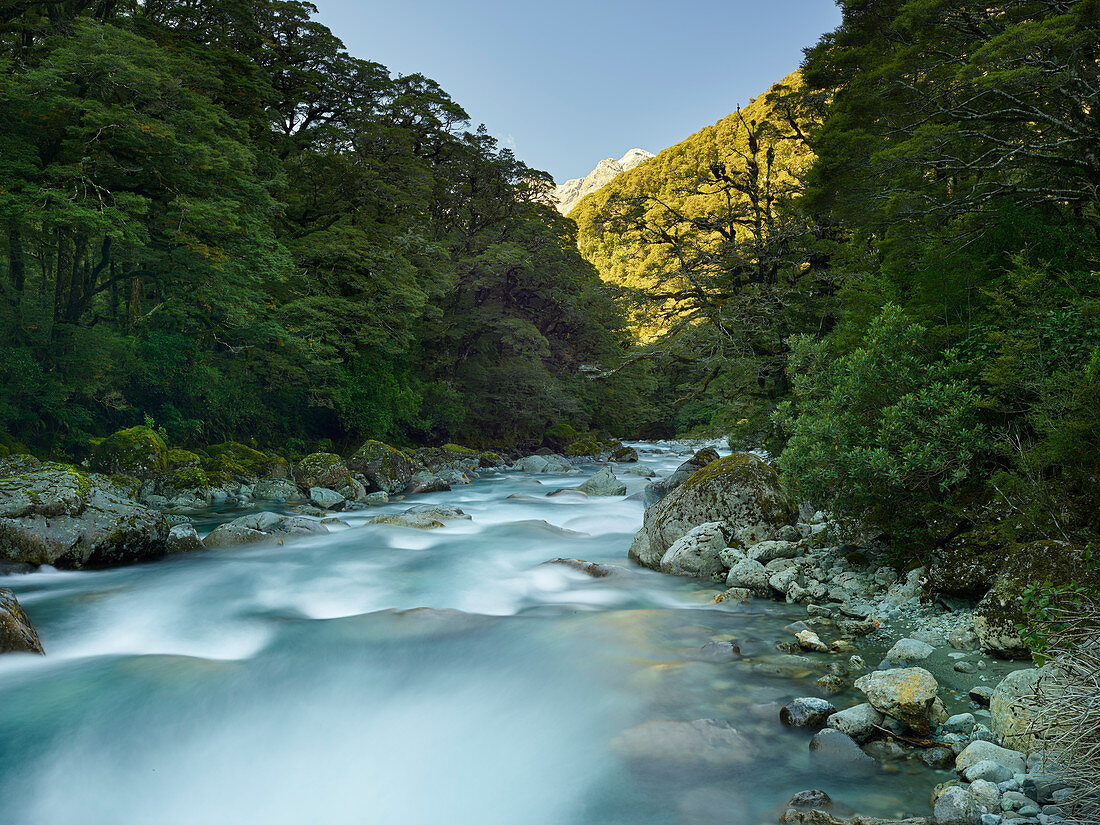 Hollyford River, Fiordland National Park, Southland, South Island, New Zealand, Oceania