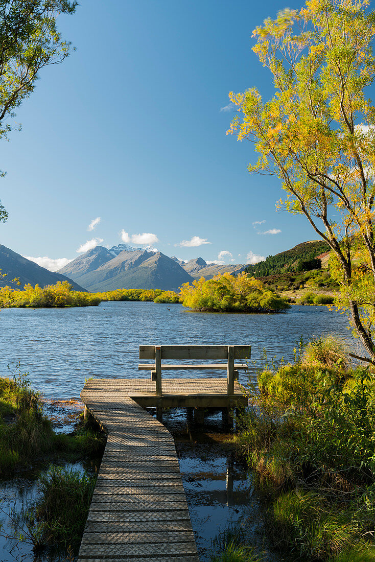 Bank at Glenorchy Lagoon, Otago, South Island, New Zealand, Oceania