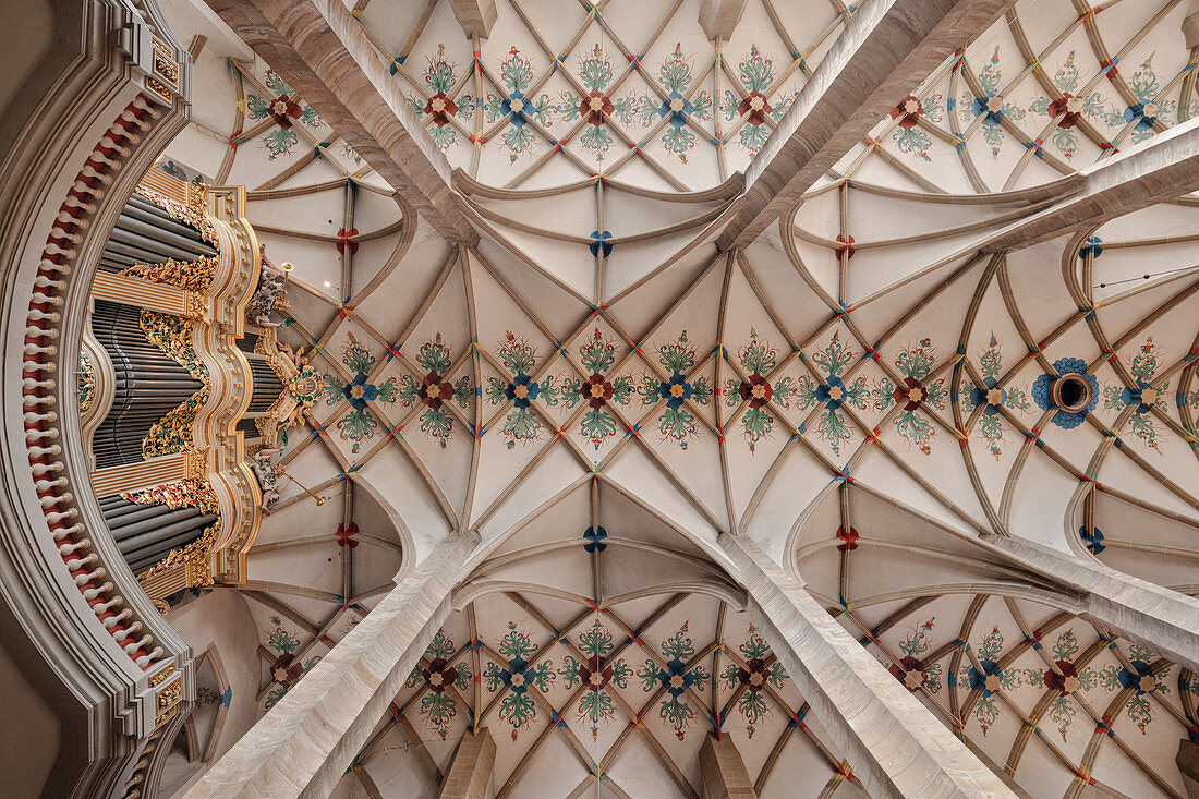 Central nave with cross-vaulted ceiling and Silbermann organ Freiberg Cathedral St Marien, UNESCO World Heritage Montanregion Erzgebirge, Freiberg, Saxony