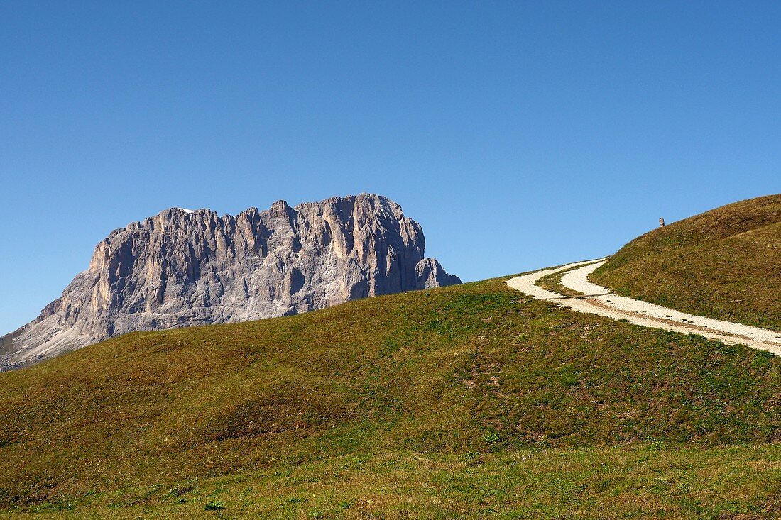 Am Grödner Joch mit Langkofel, Dolomiten, Südtirol, Italien