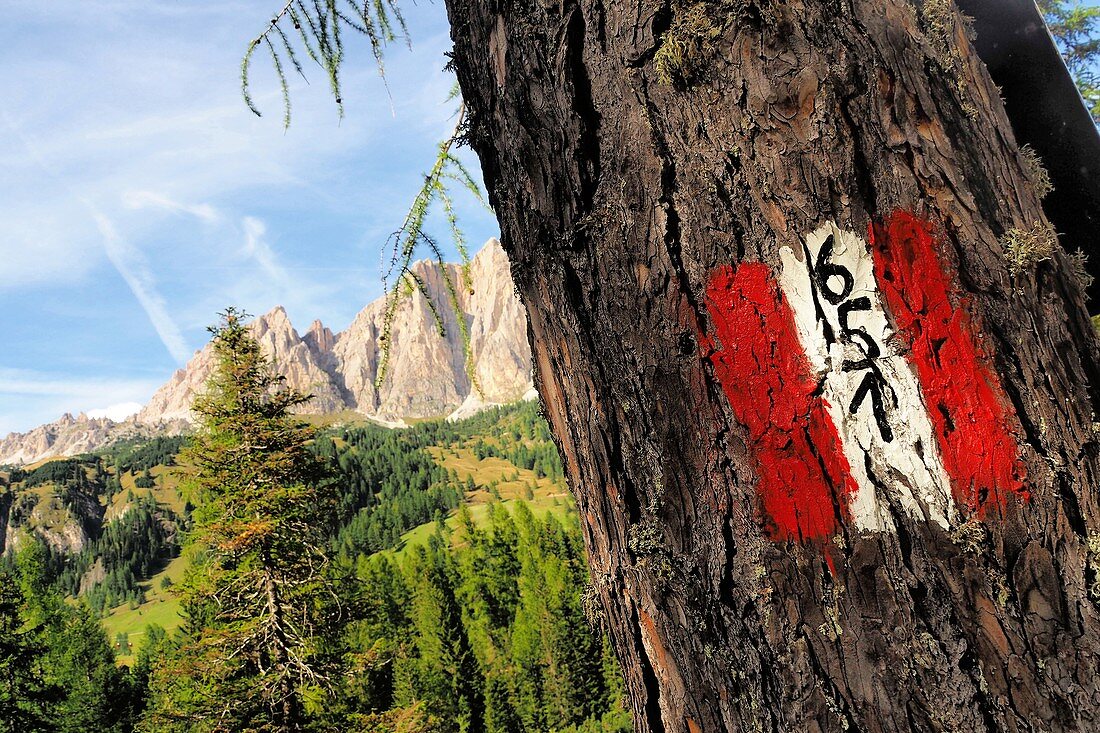 Trail sign over Colfosco, Alta Badia, Dolomites, South Tyrol, Italy