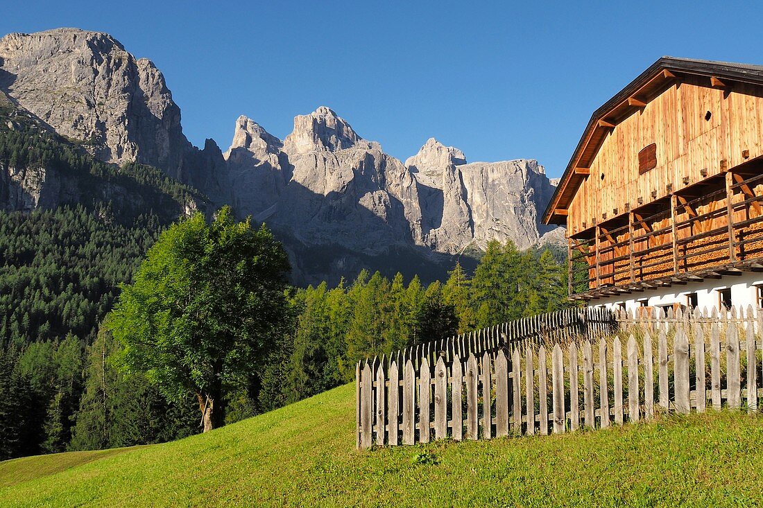 Farm in Colfosco, Alta Badia, Dolomites, South Tyrol, Italy