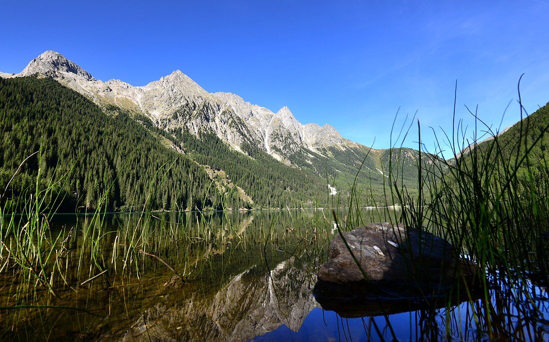 Am Antholzer See, Antholzer Tal, Südtirol, Italien