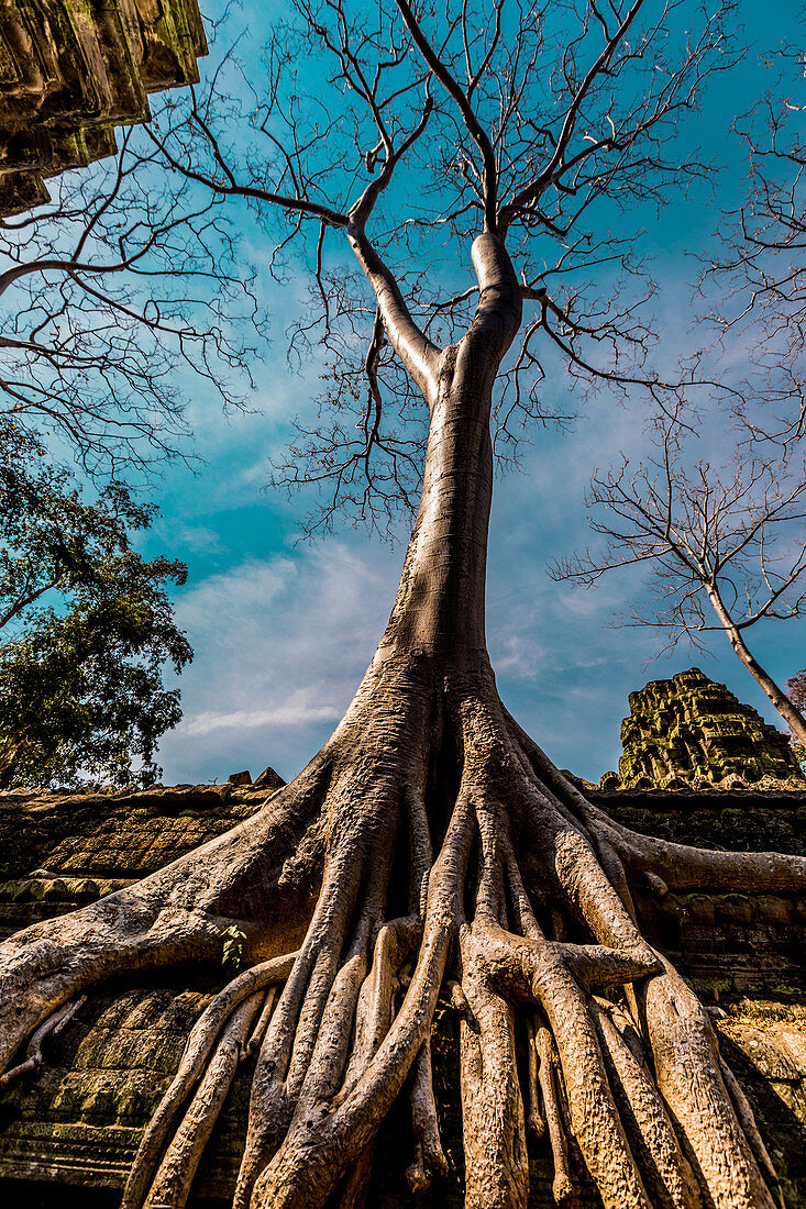 Angkor Wat temples, Angkor, UNESCO World Heritage Site, Siem Reap, Cambodia, Indochina, Southeast Asia, Asia