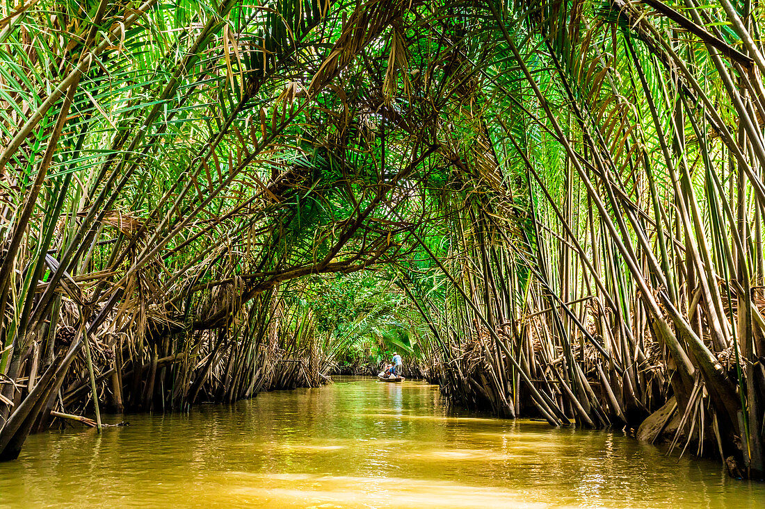 Sailing through the tributaries of the Mekong River, Vietnam, Indochina, Southeast Asia, Asia