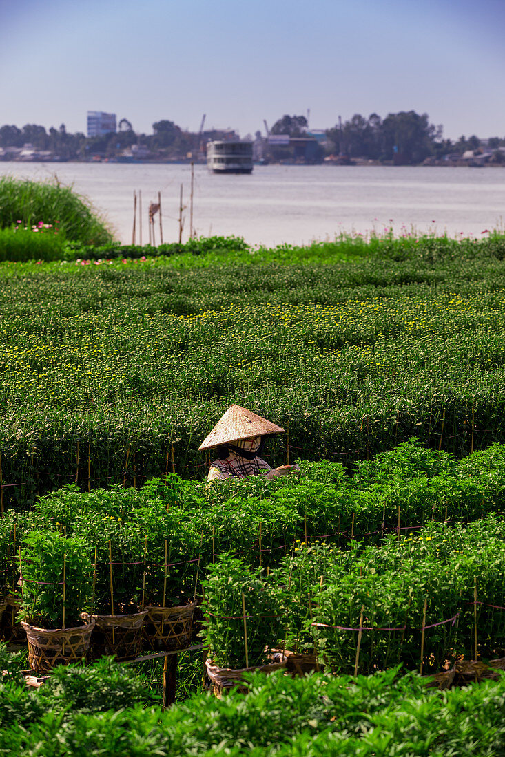 Dorfbauern im Mekong-Delta, Saigon, Vietnam, Indochina, Südostasien, Asien