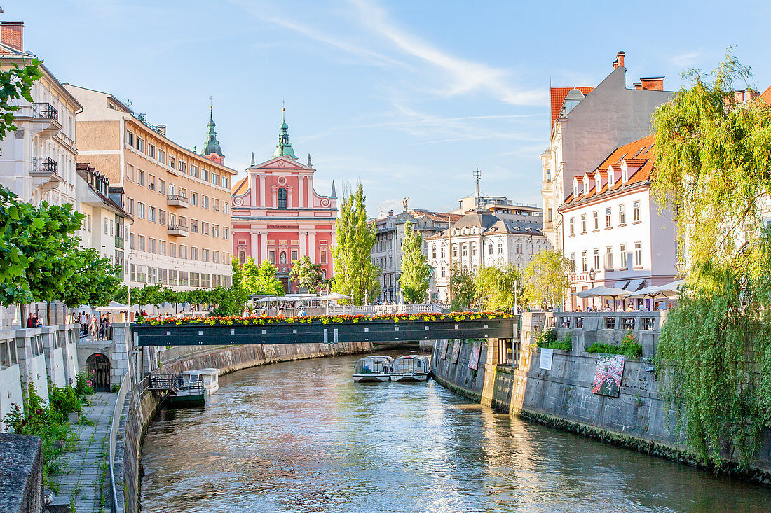 Looking down the Sava River to the pink 17th century Franciscan Church, Ljubljana, Slovenia, Europe