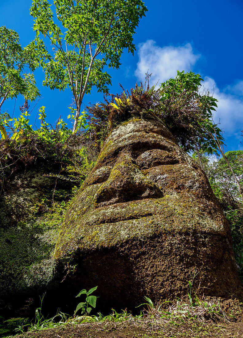 Face Sculpture in Tuff Rock, Asilo de la Paz, Highlands of Floreana (Charles) Island, Galapagos, UNESCO World Heritage Site, Ecuador, South America