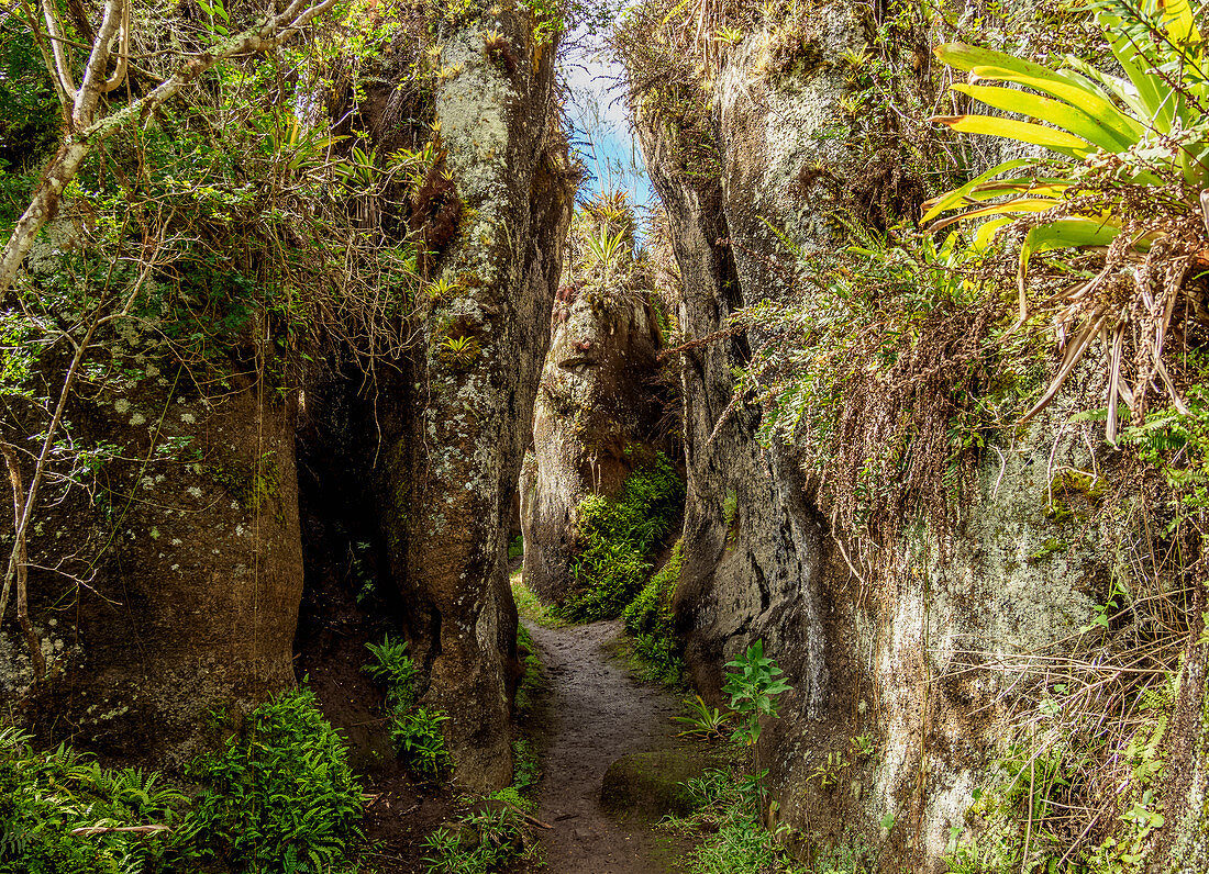 Rock Labyrinth, Asilo de la Paz, Highlands of Floreana (Charles) Island, Galapagos, UNESCO World Heritage Site, Ecuador, South America