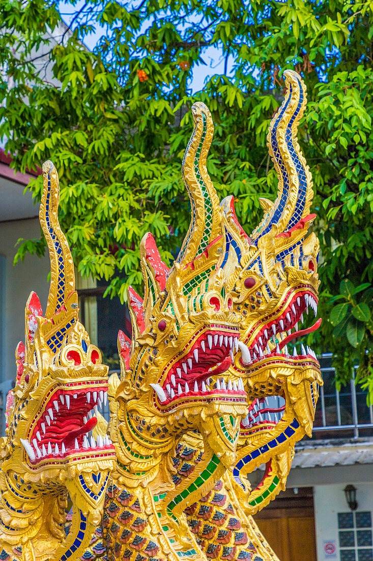 Serpentine dragons on a temple at the Office of National Buddhism, in Phuket Town, Phuket, Thailand, Southeast Asia, Asia