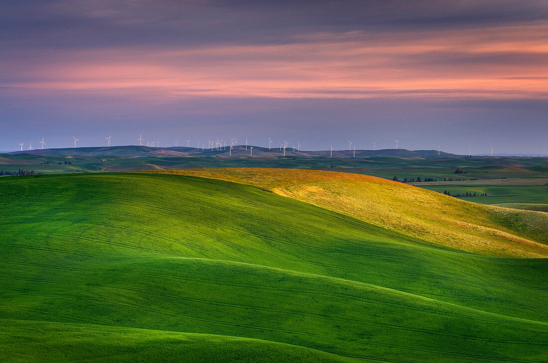 Sanfte grüne Hügel in ländlicher Landschaft, Palouse, Washington, USA
