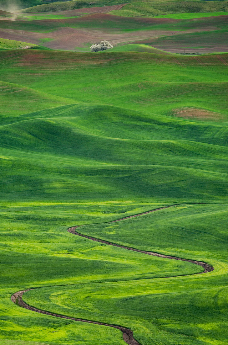 Bewässerungsgräben durch sanfte Hügel in ländlicher Landschaft, Palouse, Washington, USA